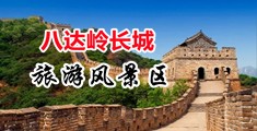 色哟哟哟插b网站中国北京-八达岭长城旅游风景区