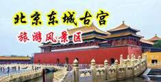 鸡巴操进骚逼淫语视频中国北京-东城古宫旅游风景区