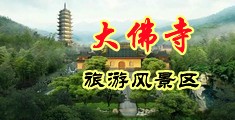 美女老师操逼中国浙江-新昌大佛寺旅游风景区